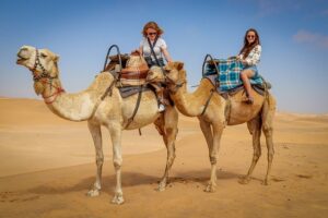 Things To Do In Jaipur