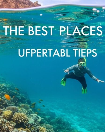 best places to snorkel in hawaii