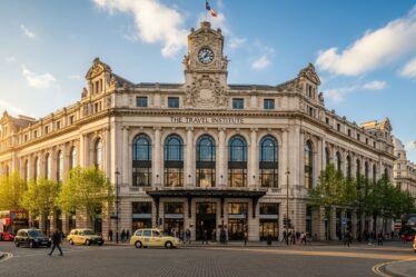 the travel institute