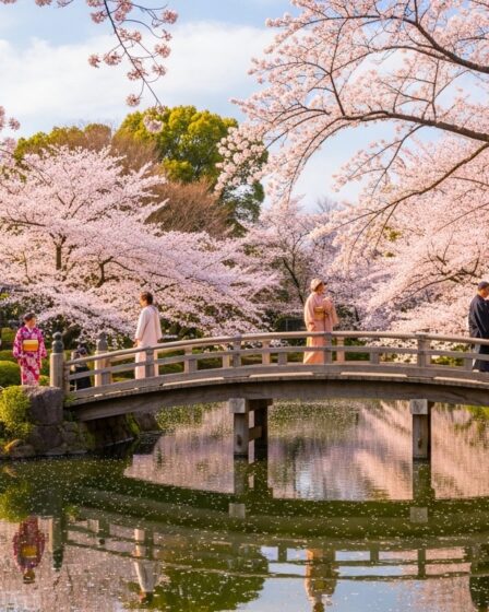 best time to visit japan for cherry blossoms