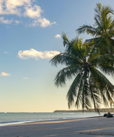 Tropical Beach Ideas