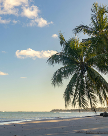 Tropical Beach Ideas