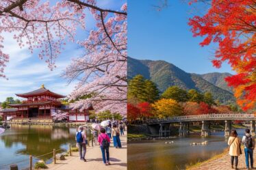 when is the best time to visit japan